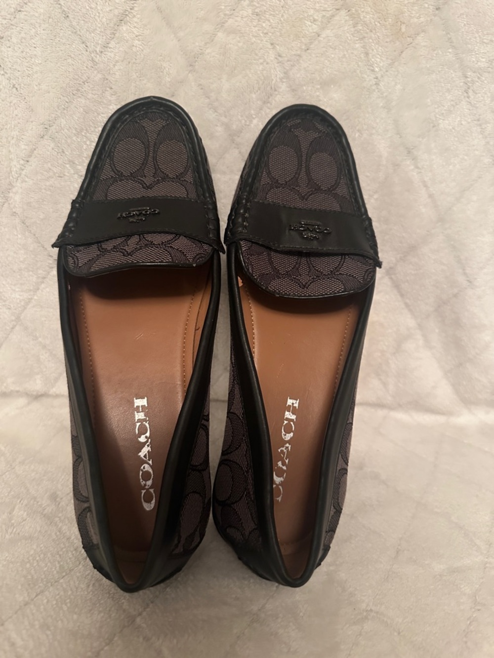 Coach Black Signature Canvas Loafers